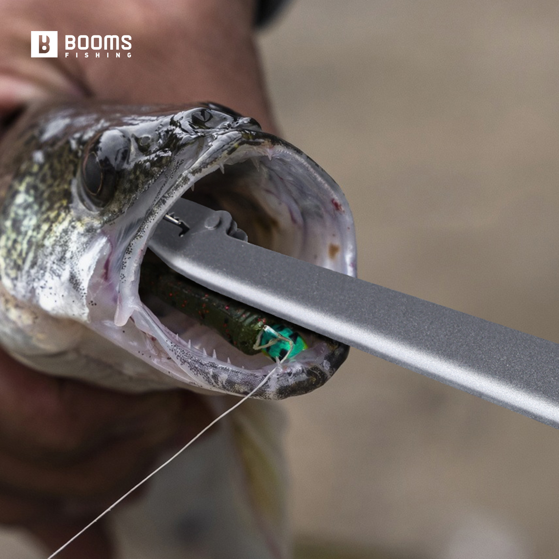 Booms Fishing 25cm Carbon Stee - Fishing Equipment Price ulasan dan harga
