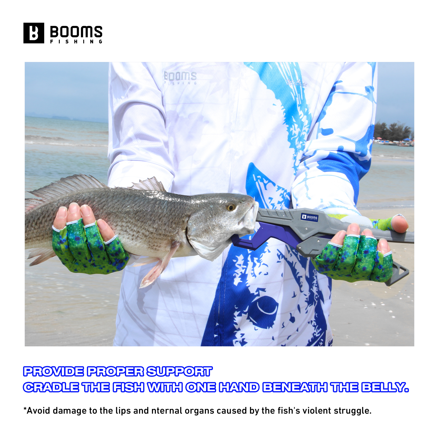 Booms Fishing 23cm Pliers and  - Fishing Equipment Price ulasan dan harga